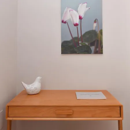 Cyclamen * Posidhonía