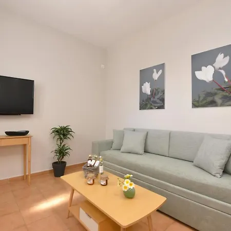 Cyclamen 포시드호니아