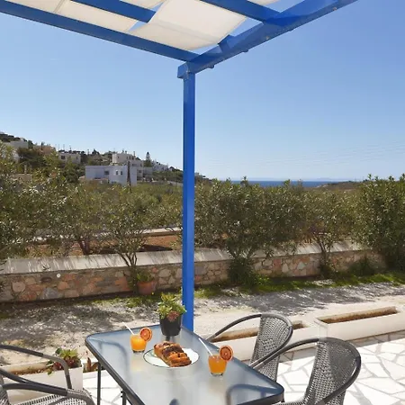 Cyclamen * 포시드호니아