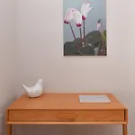 Cyclamen * Posidhonía