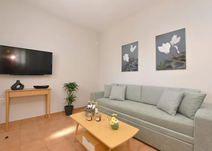 Cyclamen Posidhonía